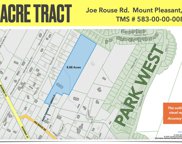 Joe Rouse Road, Mount Pleasant image