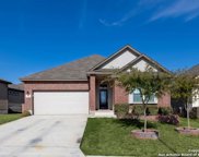 2986 Daisy Meadows, New Braunfels image
