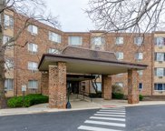1880 Bonnie Lane Unit #306, Hoffman Estates image