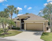 23175 Shady Oak Ln, Estero image