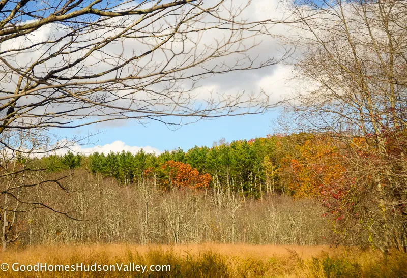 Ward Pound Ridge Reservation in Westchester New York
