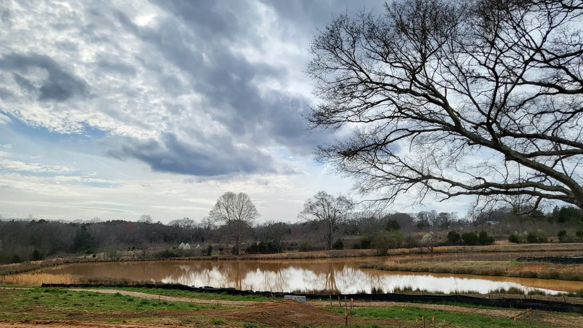Large Pond