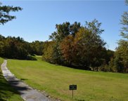 Greenstreet Drive, Traphill image