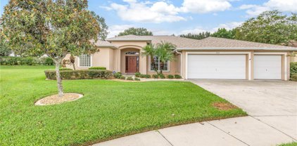 3719 Palmas Lane, Ruskin