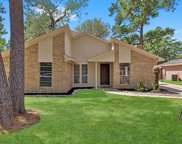 23315 Canyon Lake Drive, Spring image