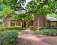 305 Johns Bluff Road, Lewisville image