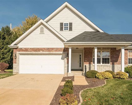 4531 Von Talge Trails  Court, St Louis