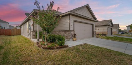 161 Buttercup Bend, New Braunfels