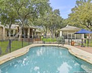 11522 Paynes Gray, Helotes image