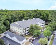 1025 Riverland Woods Place Unit #416, Charleston image