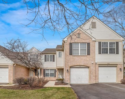 1730 Autumn Avenue Unit #B, Schaumburg