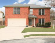 3672 Marietta Ln, Schertz image