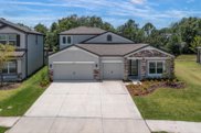 31052 Palm Song Place, Wesley Chapel image