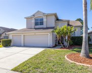 3633 Morgans Bluff Court, Land O' Lakes image