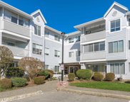 32853 Landeau Place Unit 325, Abbotsford image