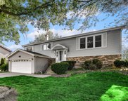 20724 S Hickory Creek Court, Frankfort image
