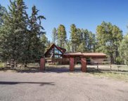 175 Windy Grove, Payson image