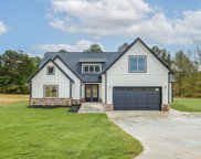 1716 Davis, Woodruff image