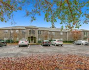 400 Willow Green Dr. Unit B, Conway image