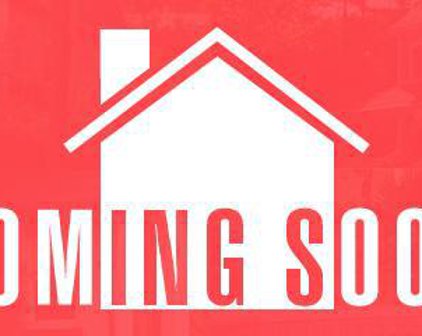 42585 Moon Hill   Drive, Broadlands