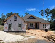 12933 Ibis Boulevard, Spanish Fort image
