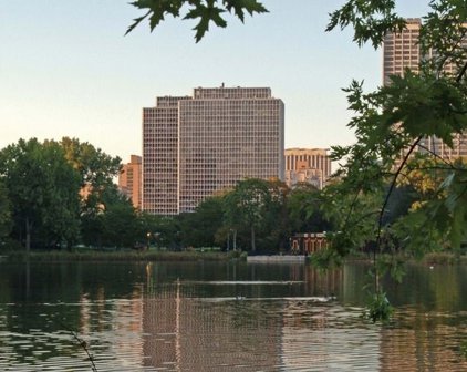 340 W Diversey Parkway Unit #1420, Chicago