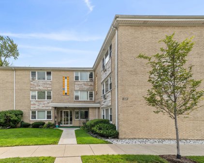 6541 W Addison Street Unit #203, Chicago