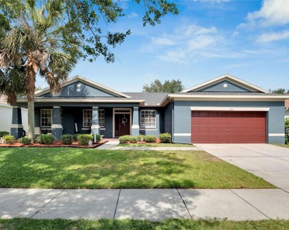 11713 Holly Creek Drive, Riverview