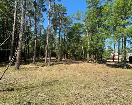 La Salle River Road, Conroe