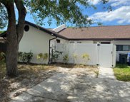 11104 Summer Drive, Tampa image
