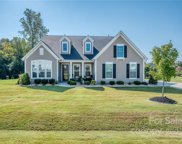 4211 Maggie Springs  Way, Clover image