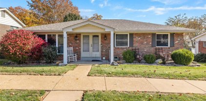 4734 Kerth  Drive, St Louis
