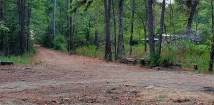 Yellow Poplar Lane, Plantersville