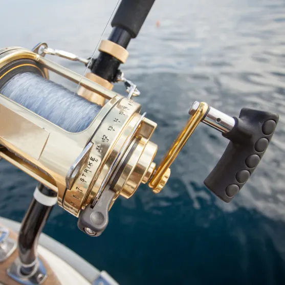 Fishing