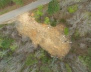 5333 Dogwood Trail Unit 013, Adamsville image