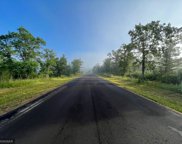 L37B1 Acorn Ridge Road NW, Bemidji image