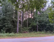 1137 Happyland Boulevard, Mount Pleasant image