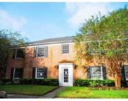 13688 Orange Sunset Drive Unit 202, Tampa image