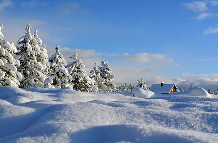 Winter scene with cabin in Southeast Idaho