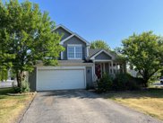 3011 Carlyle Court, New Lenox image