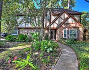 18207 Mahogany Forest Drive, Spring image