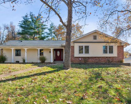 1008 Amsterdam  Drive, Ballwin