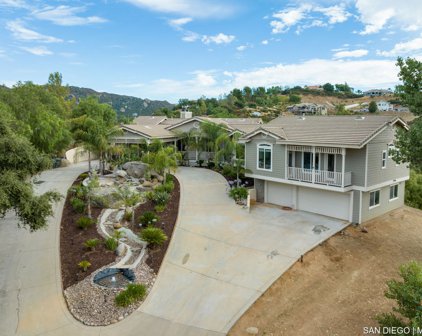 3256 Via Viejas, Alpine