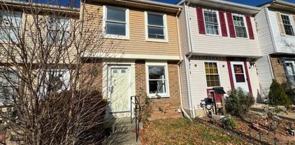 8304 Bark Tree Ct, Springfield