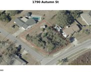 1790 Autumn Street, Deltona image