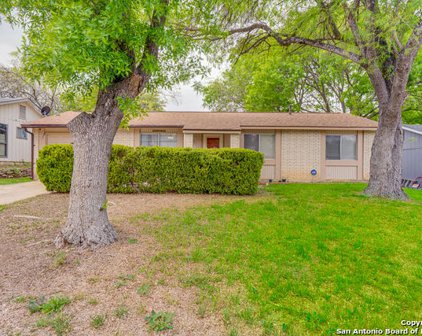 12115 Wilderness Trail, Live Oak