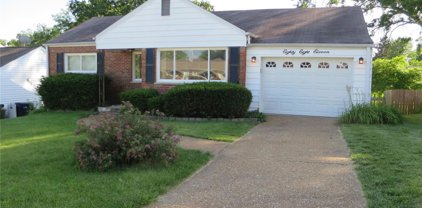 8811 Sheryl Ann  Drive, St Louis