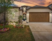 1616 Pintail  Place, Celina image
