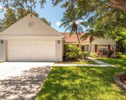 16207 Country Crossing Drive, Tampa image