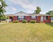 117 Ben Sapp  Road, Pageland image